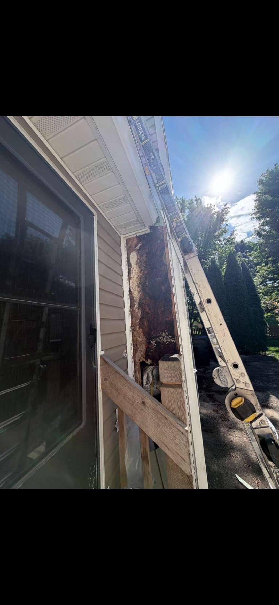 What Green Streaks on Your Siding Are Really Telling You