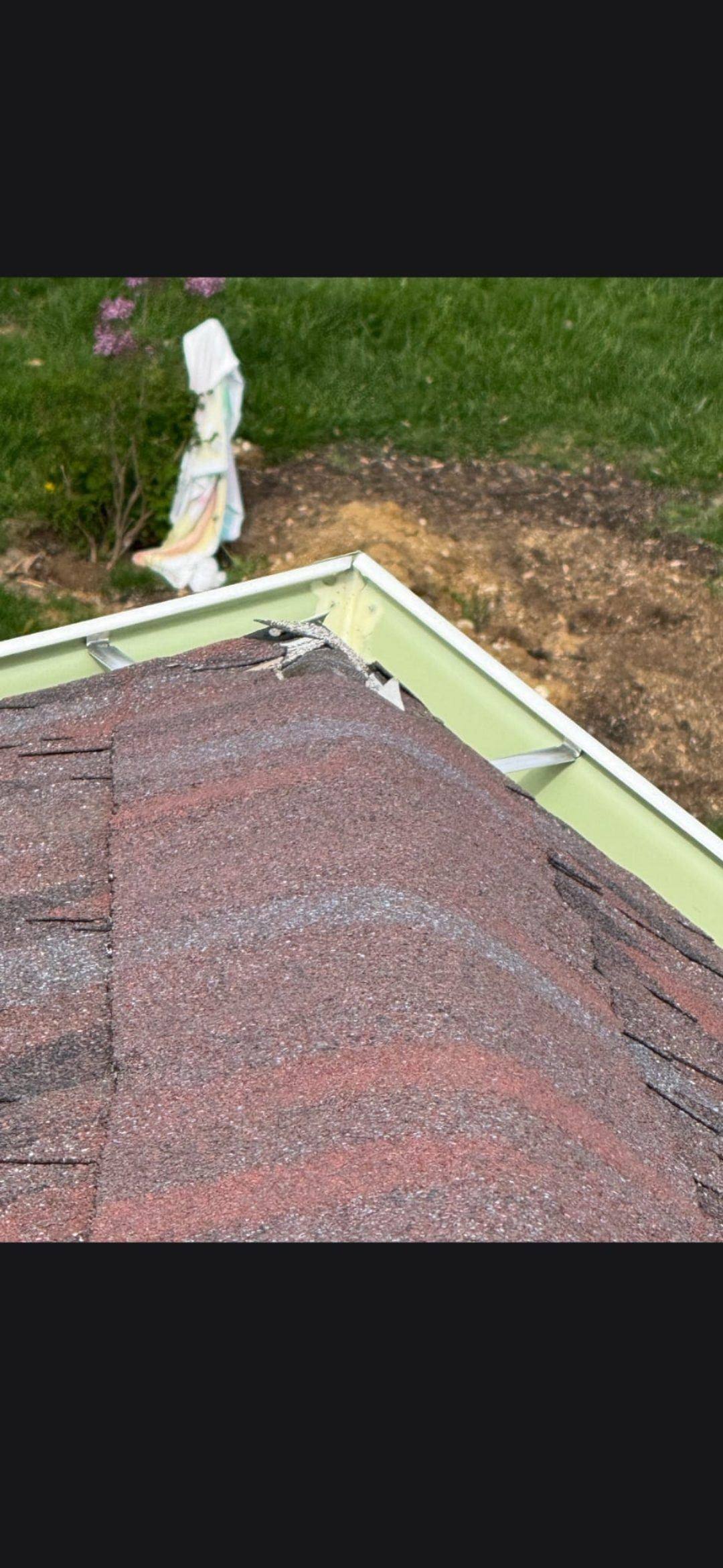 Torn ridge cap shingle at roof edge — unrelated to chimney but active leak source